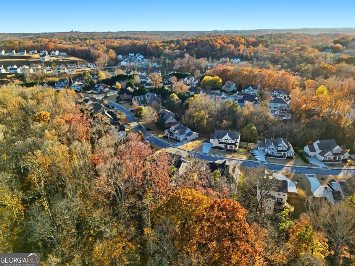 8745 Hightower Ridge Ball Ground - 36