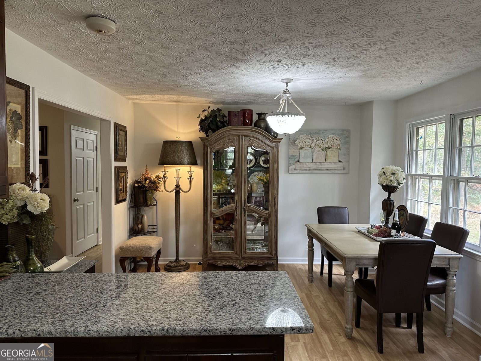 332 Pine Acres Drive Canton - 7