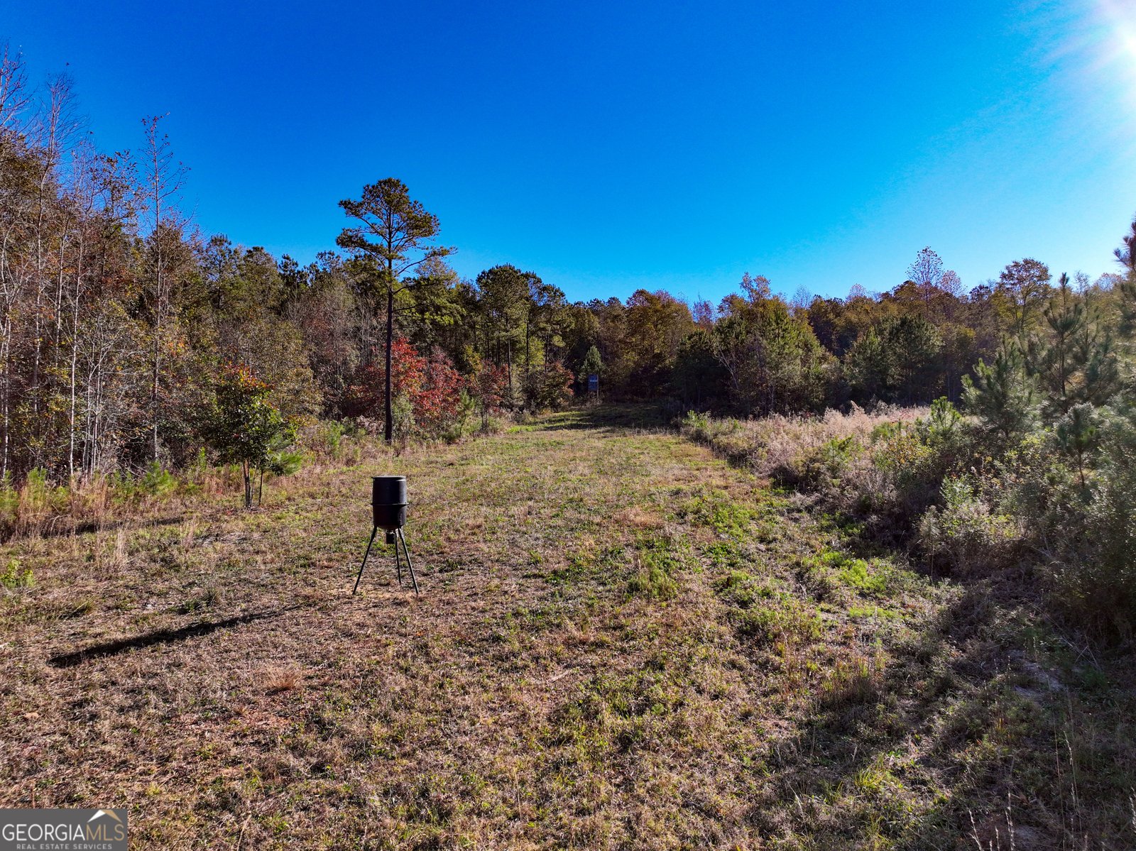 1100 Sapp Road Dry Branch - 32