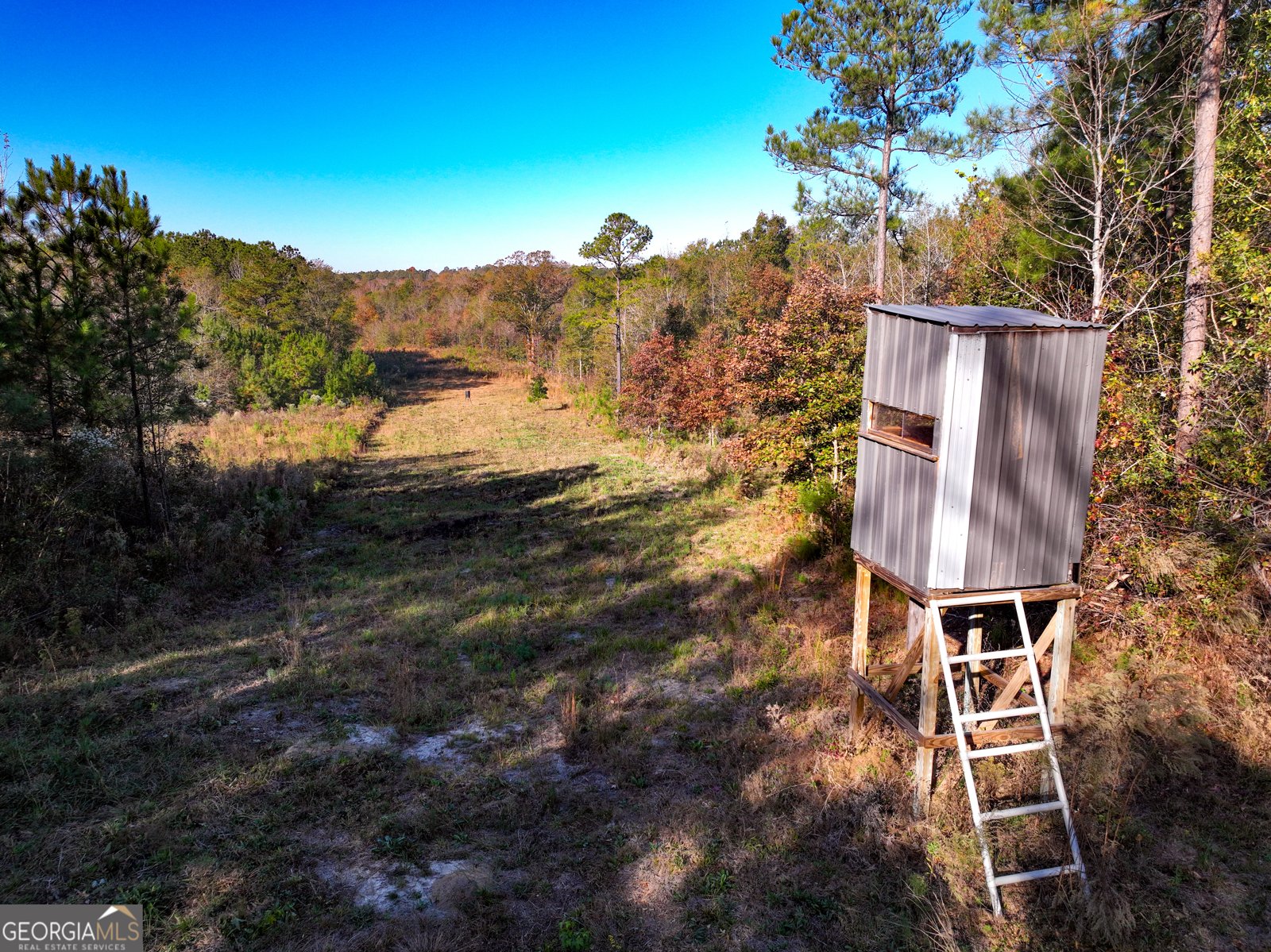 1100 Sapp Road Dry Branch - 33