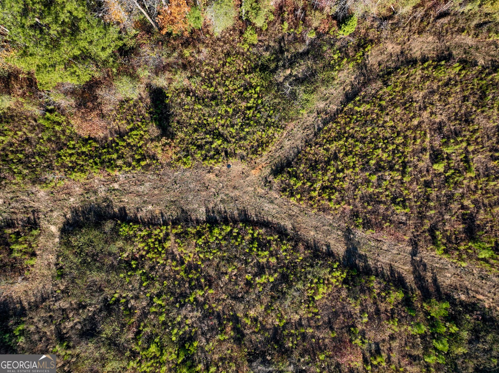 1100 Sapp Road Dry Branch - 34