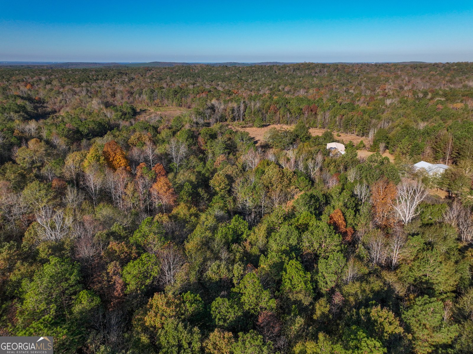 1100 Sapp Road Dry Branch - 41