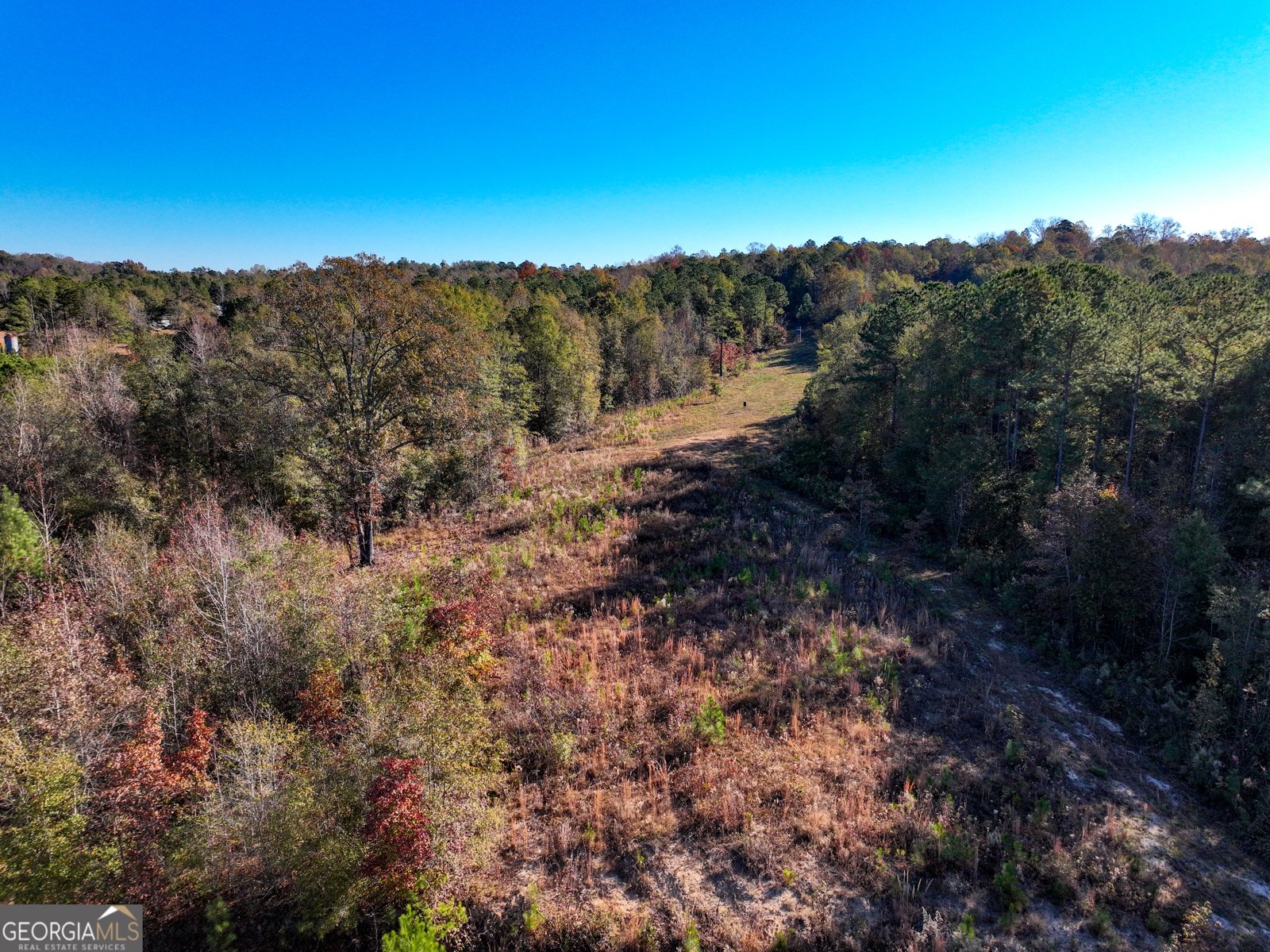 1100 Sapp Road Dry Branch - 45