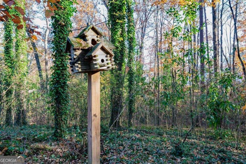 1765 Blackwillow Drive Marietta - 3