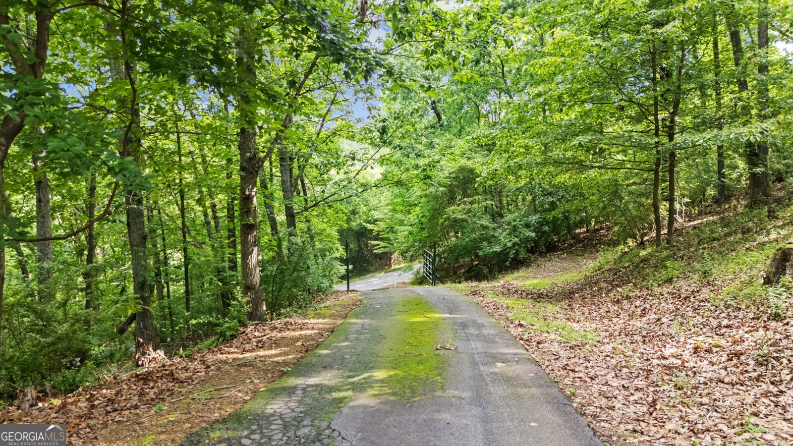 608 Eden Valley Road Rome - 35