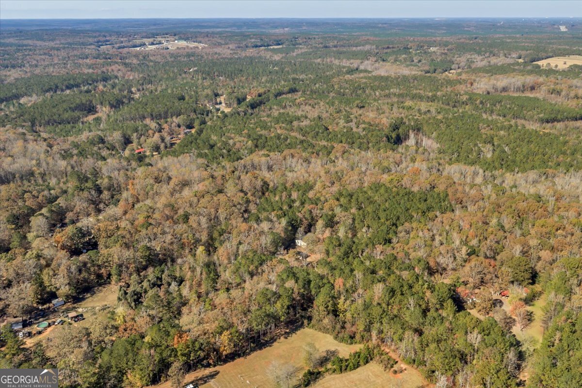 1663 Smith Road Forsyth - 5