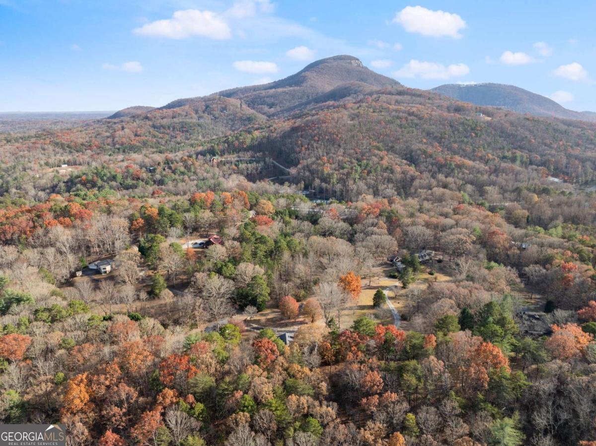 387 Smokerise Drive Sautee Nacoochee - 70