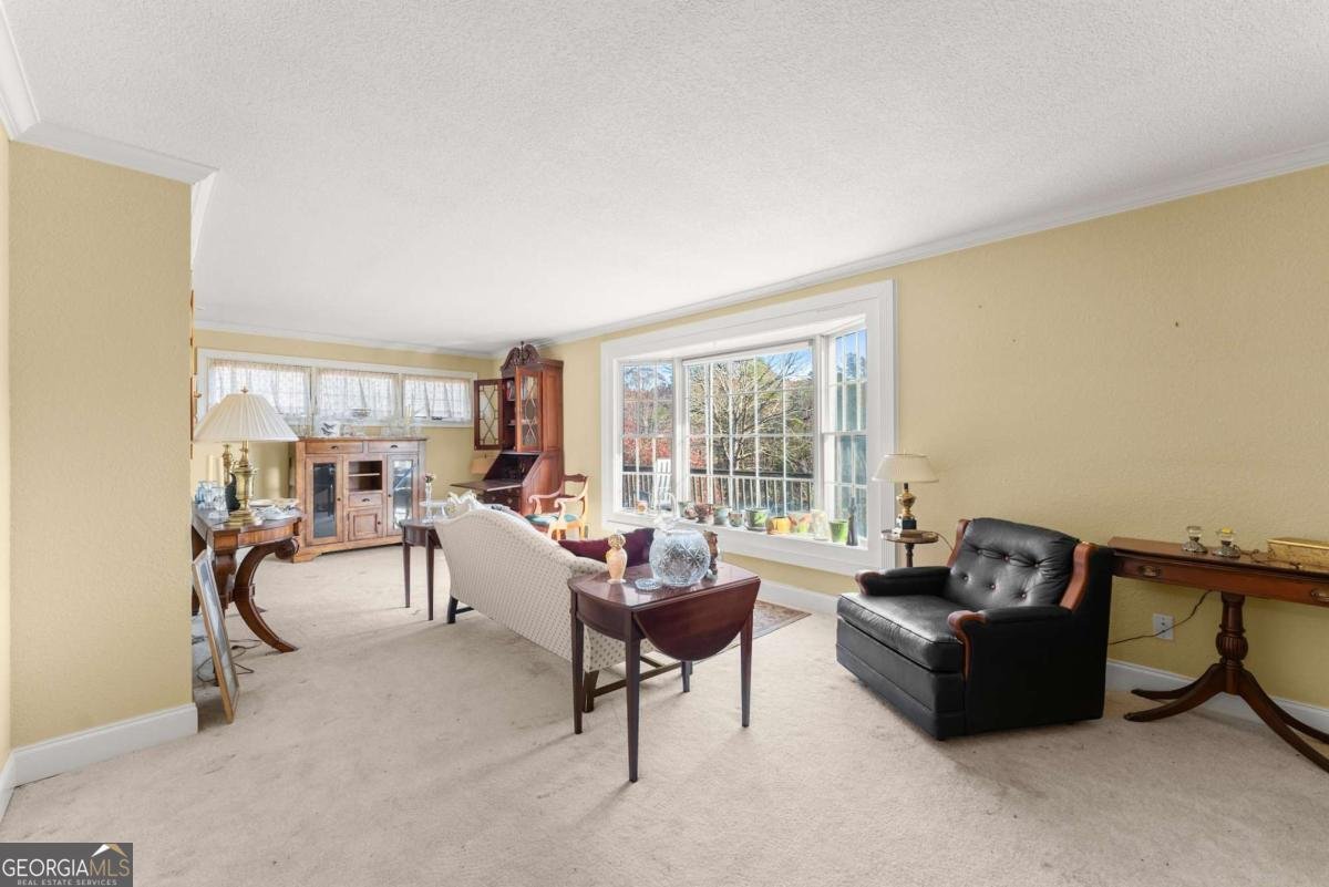 387 Smokerise Drive Sautee Nacoochee - 9