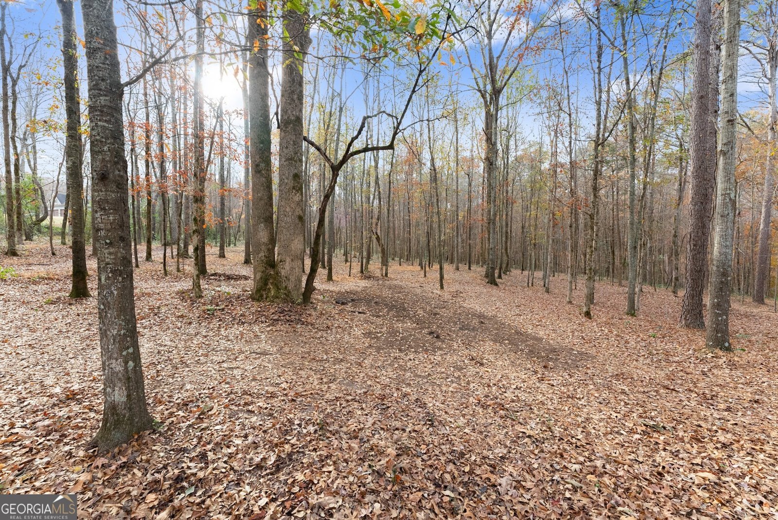 352 Lakeshore Drive Jefferson - 44