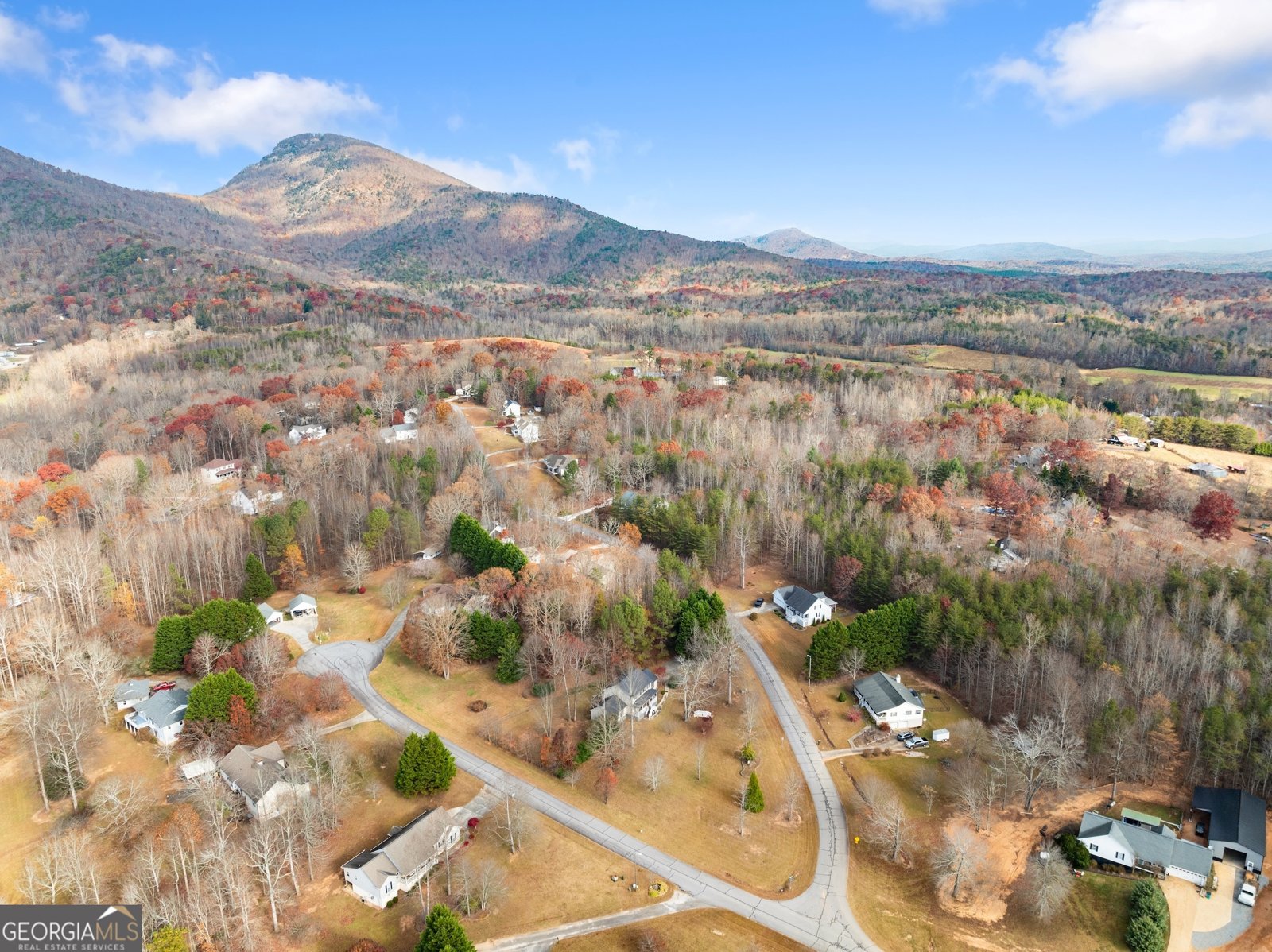 81 Heather Way Cleveland - 31