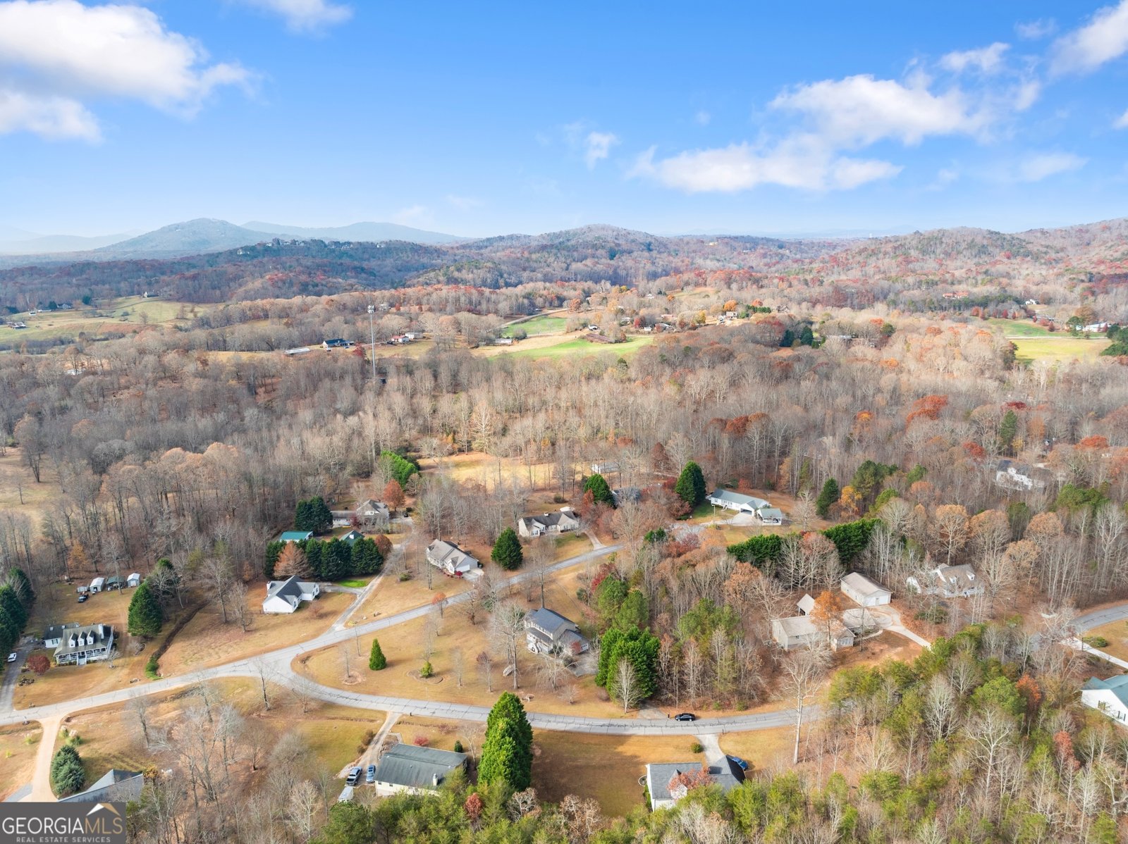 81 Heather Way Cleveland - 33