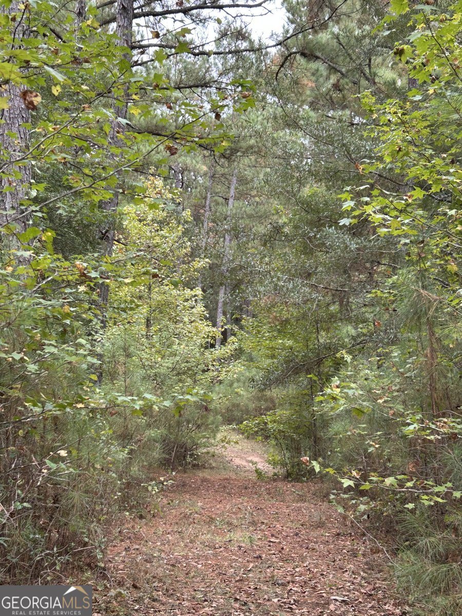 2734 Flat Shoals Road Concord - 33