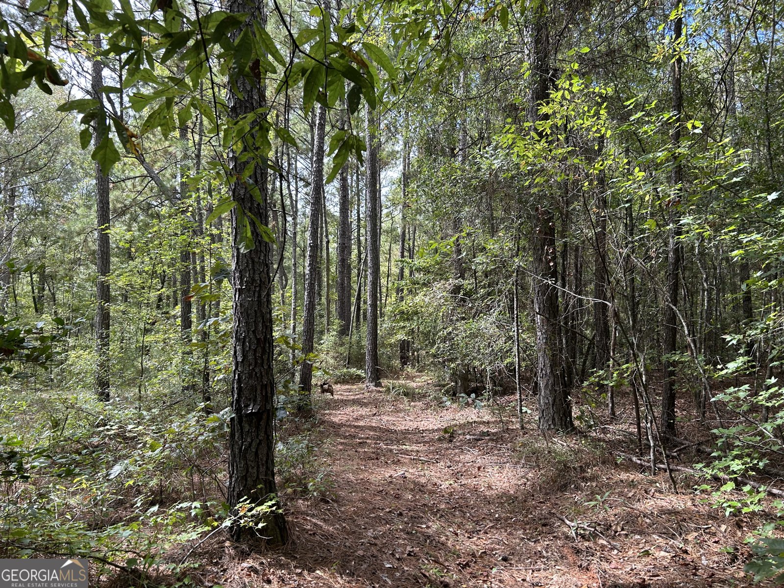 2734 Flat Shoals Road Concord - 34