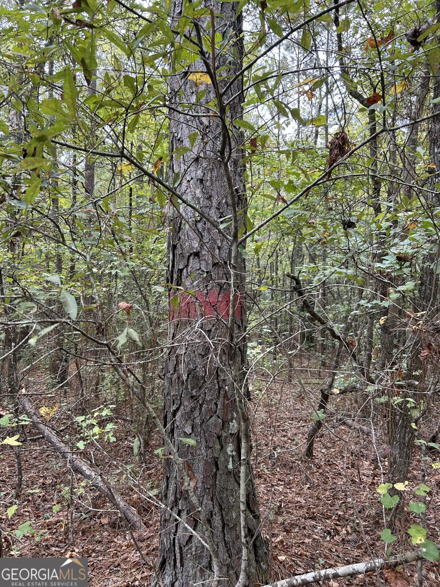 2734 Flat Shoals Road Concord - 35