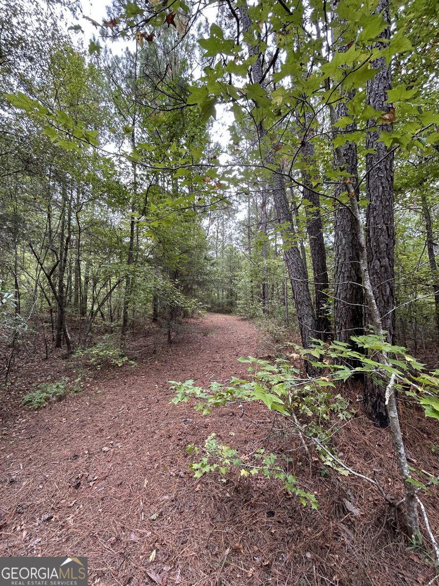 2734 Flat Shoals Road Concord - 36