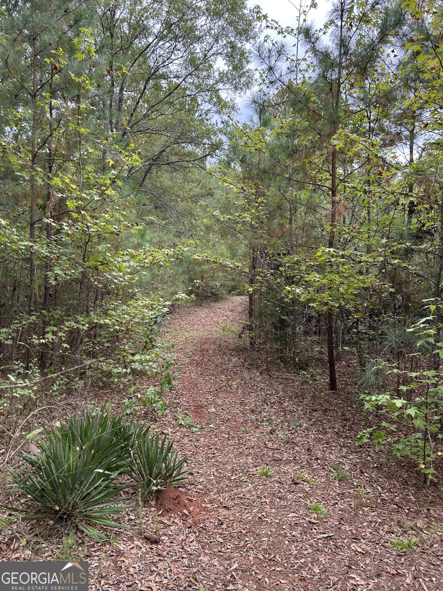 2734 Flat Shoals Road Concord - 37