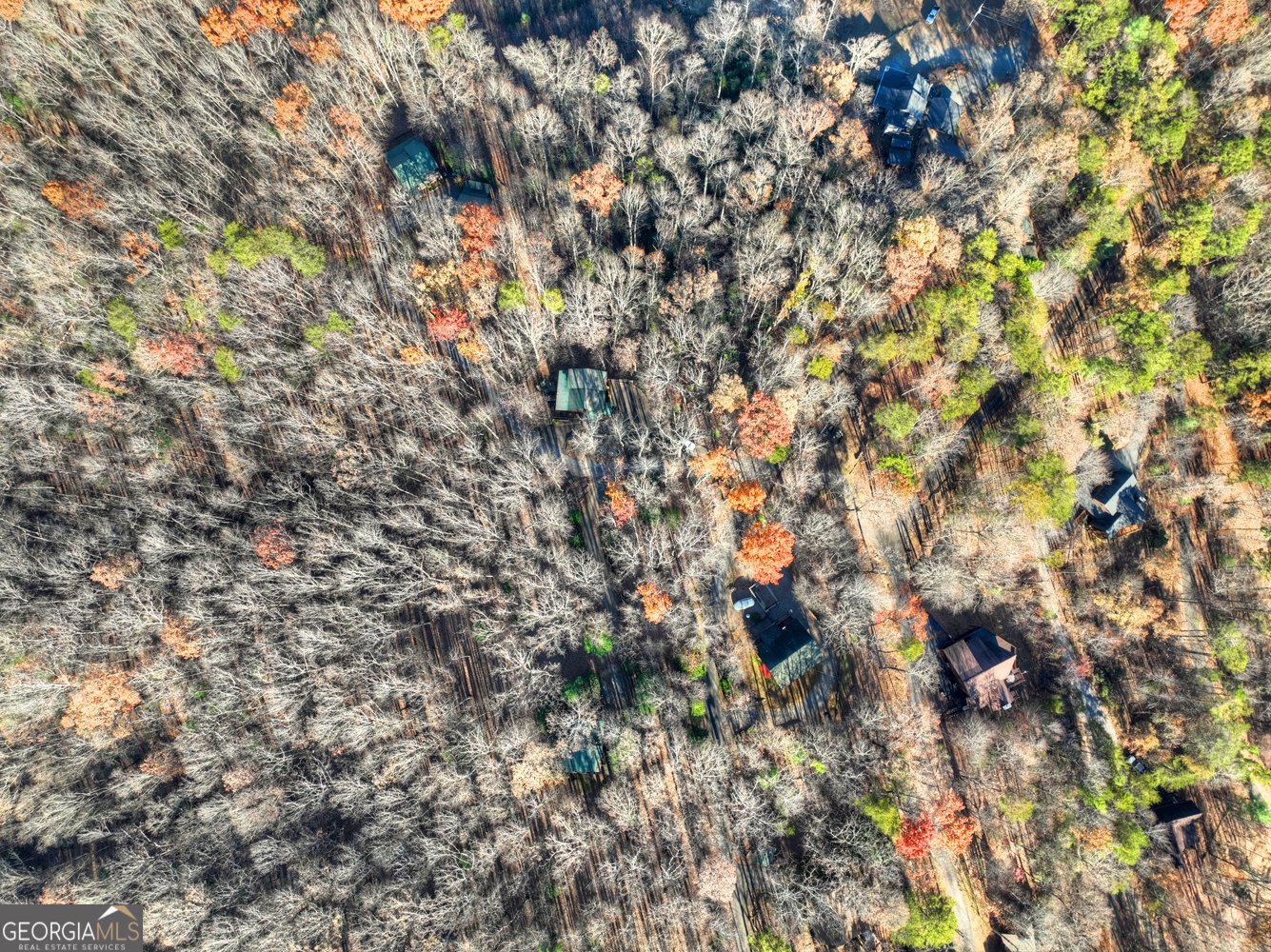 22 Running Bear Ridge Road Blue Ridge - 19