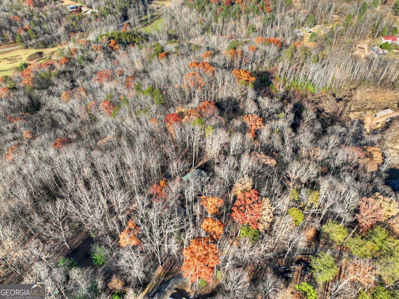 22 Running Bear Ridge Road Blue Ridge - 20