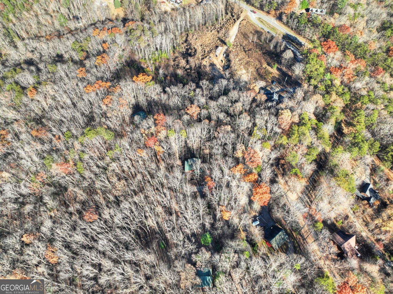 22 Running Bear Ridge Road Blue Ridge - 21