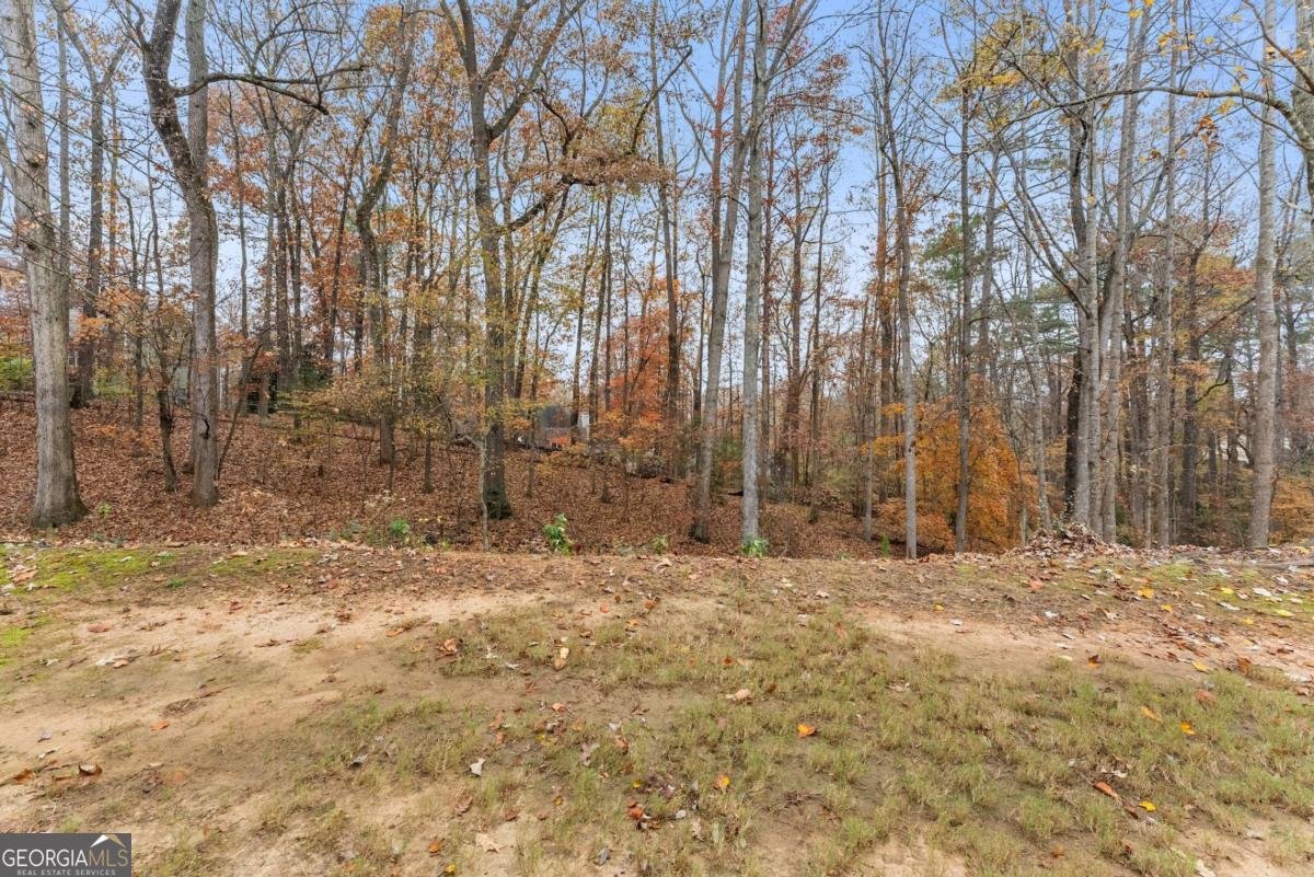 5157 Wellisford Court Suwanee - 14