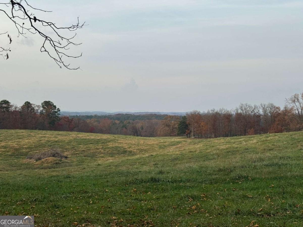 185 Talon Drive Rydal - 45