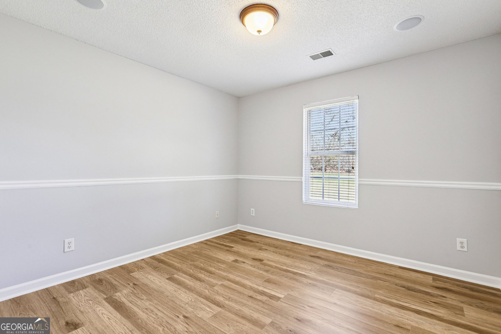 2425 Fort Daniels Drive Dacula - 19