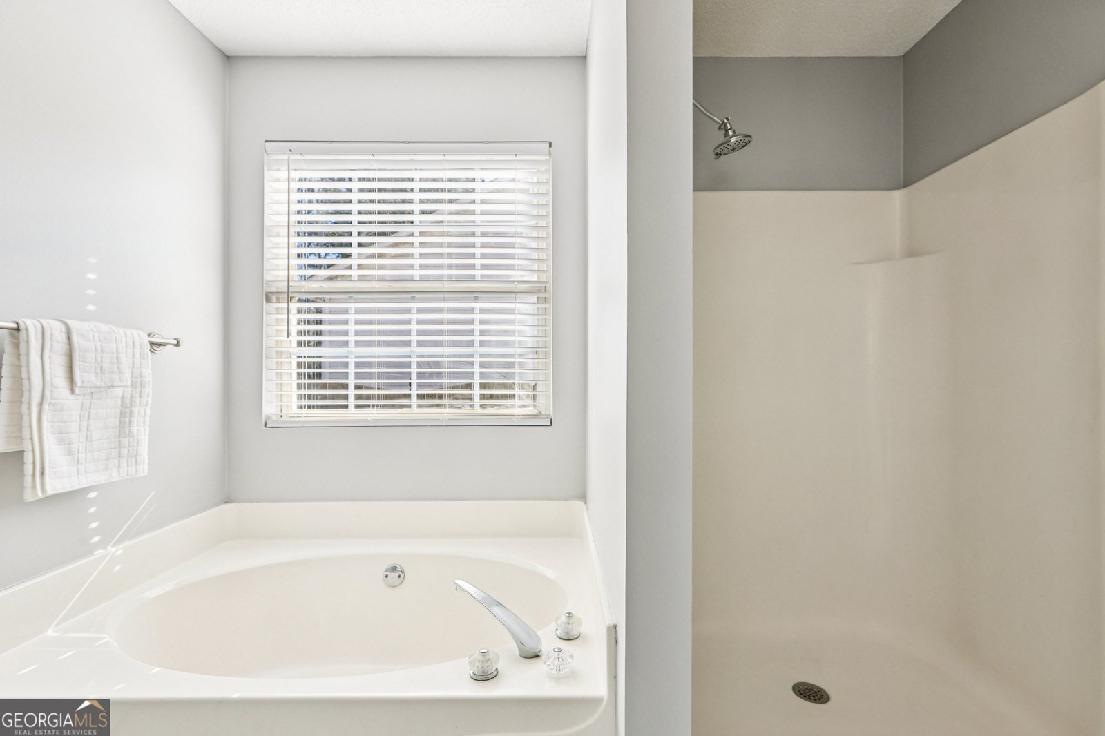 2425 Fort Daniels Drive Dacula - 9