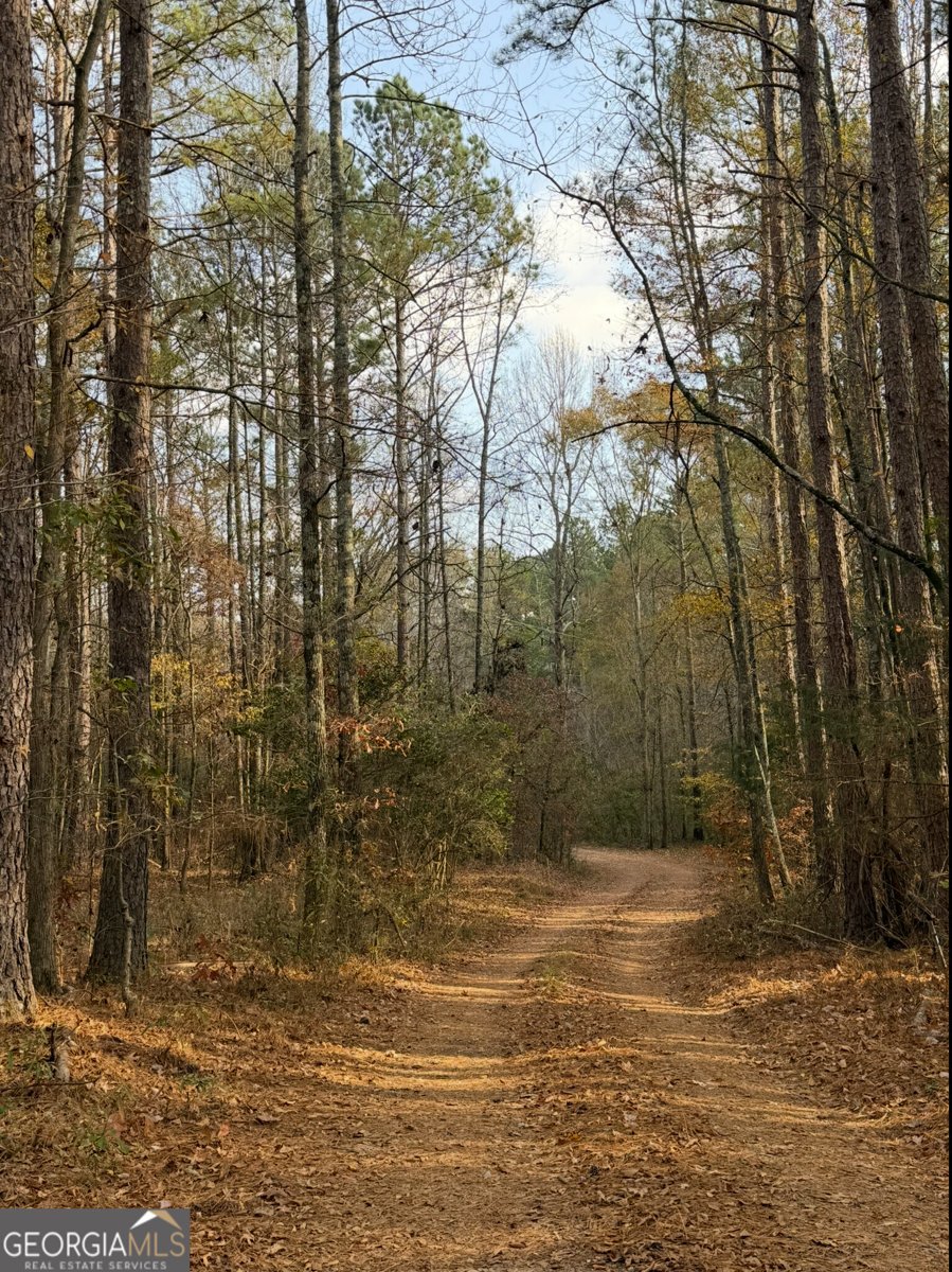 1006 Old Hoods Mill Road Commerce - 5