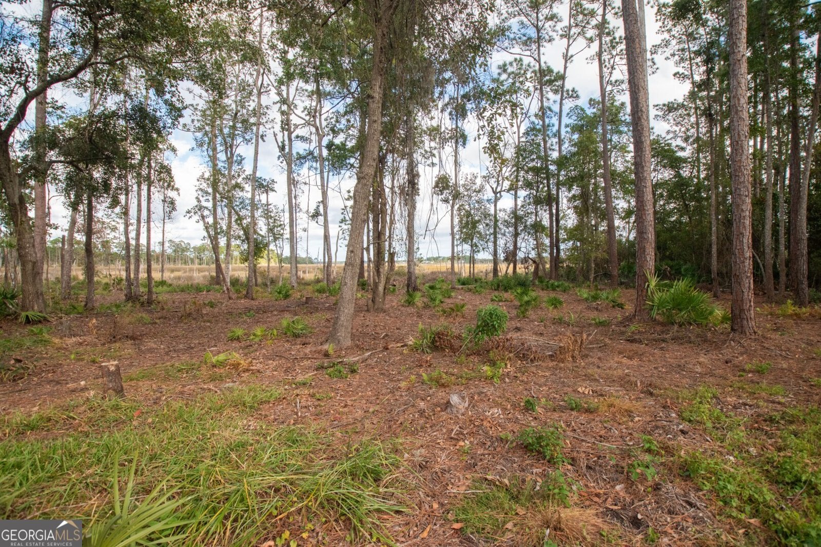 481 Eagle Boulevard Kingsland - 4