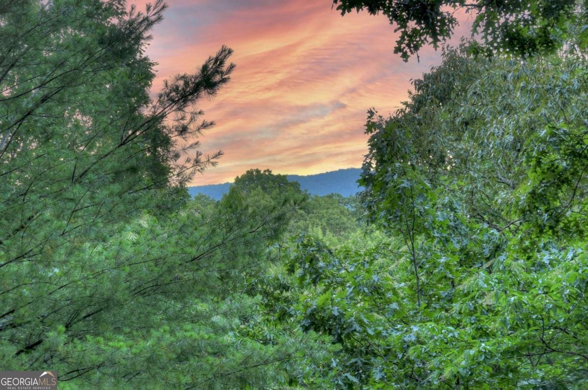 97 Doyle Carder Parkway Cherry Log - 27