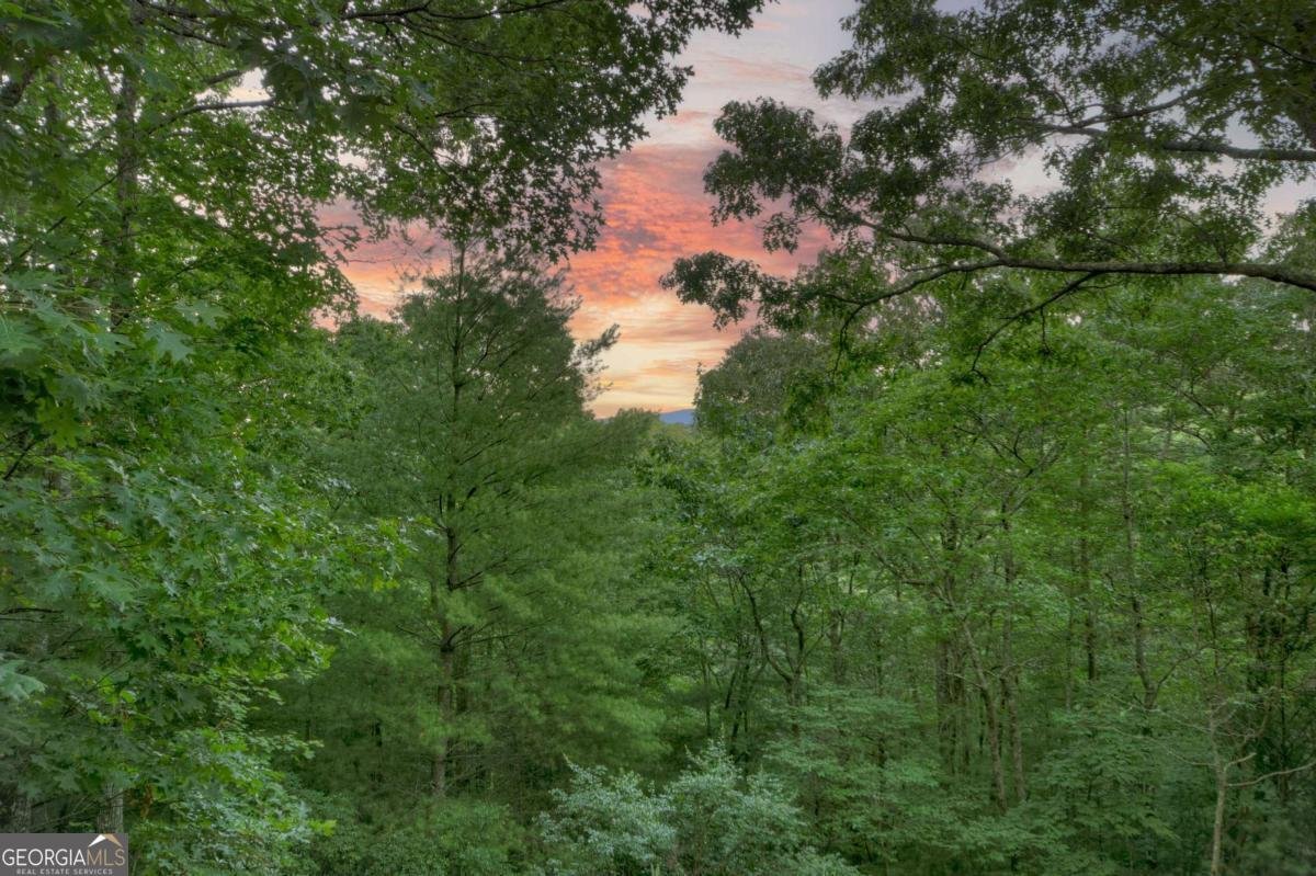 97 Doyle Carder Parkway Cherry Log - 29