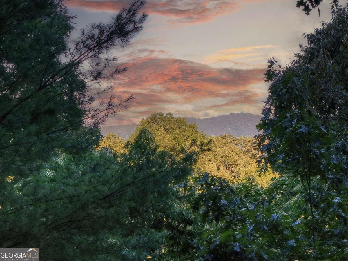 97 Doyle Carder Parkway Cherry Log - 4