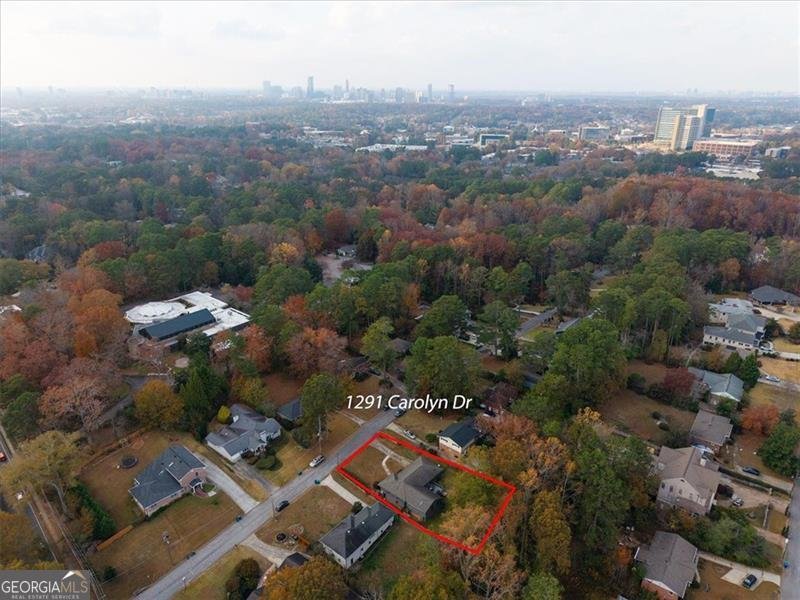 1291 CAROLYN Drive Atlanta - 15