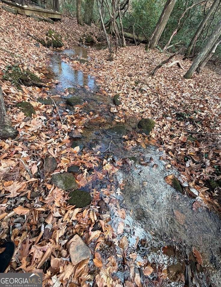 LOT A Magnums Trail Blue Ridge - 12