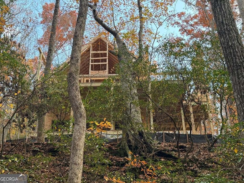 LOT A Magnums Trail Blue Ridge - 13