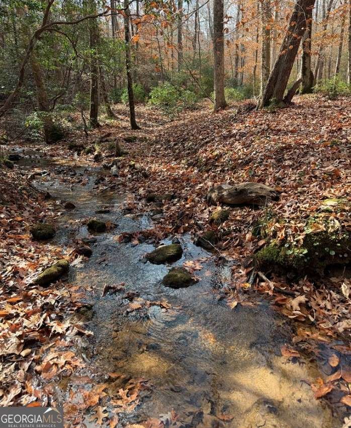 LOT A Magnums Trail Blue Ridge - 2