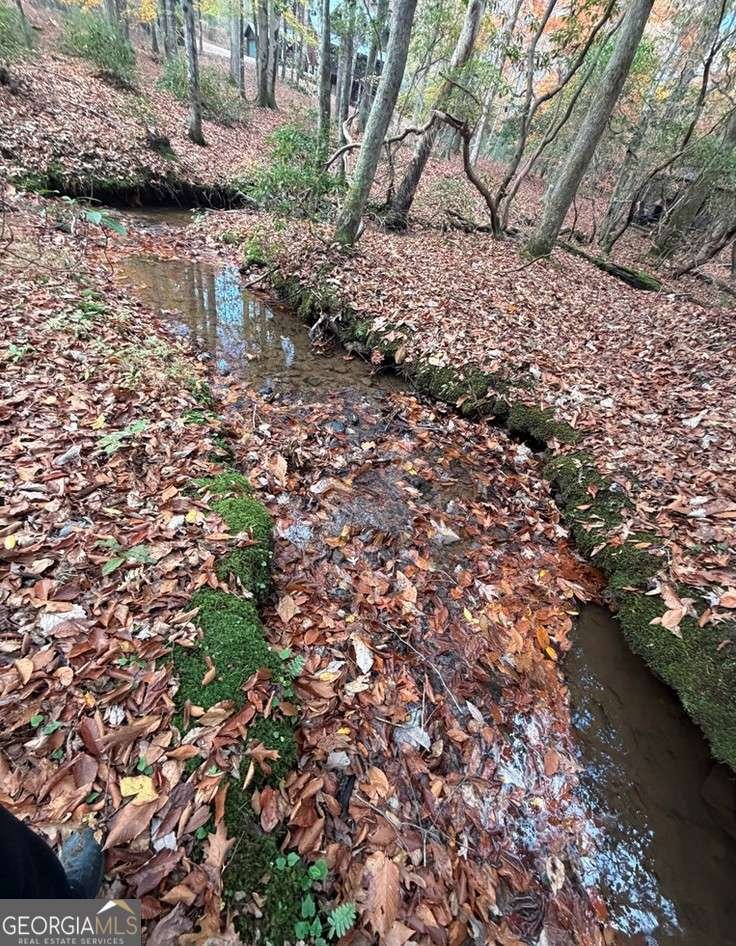 LOT A Magnums Trail Blue Ridge - 20