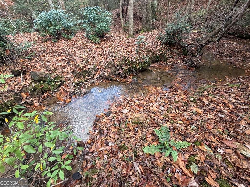 LOT A Magnums Trail Blue Ridge - 22