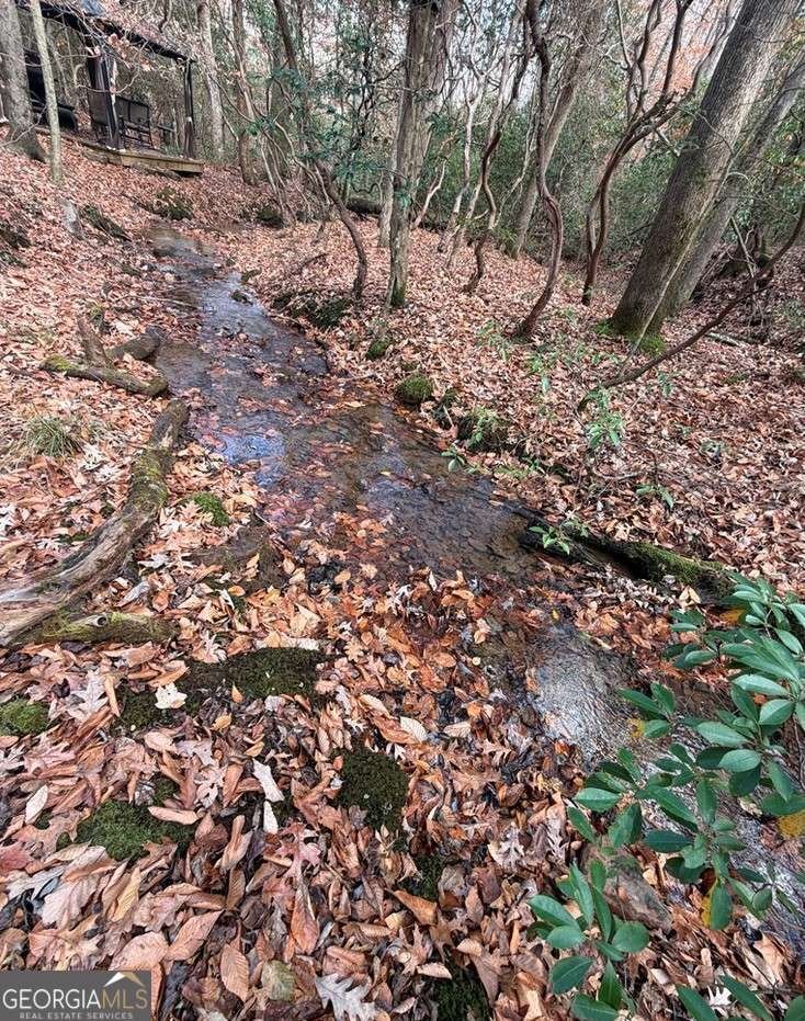LOT A Magnums Trail Blue Ridge - 25