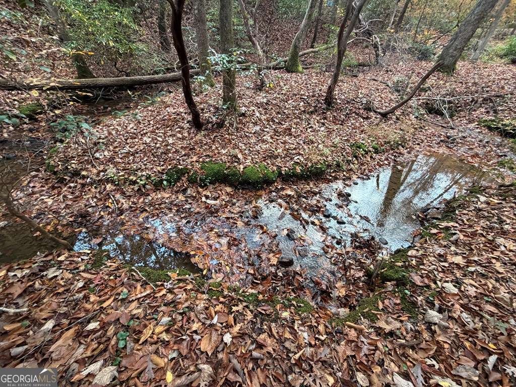 LOT A Magnums Trail Blue Ridge - 30