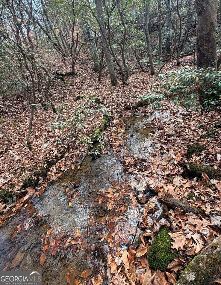 LOT A Magnums Trail Blue Ridge - 32