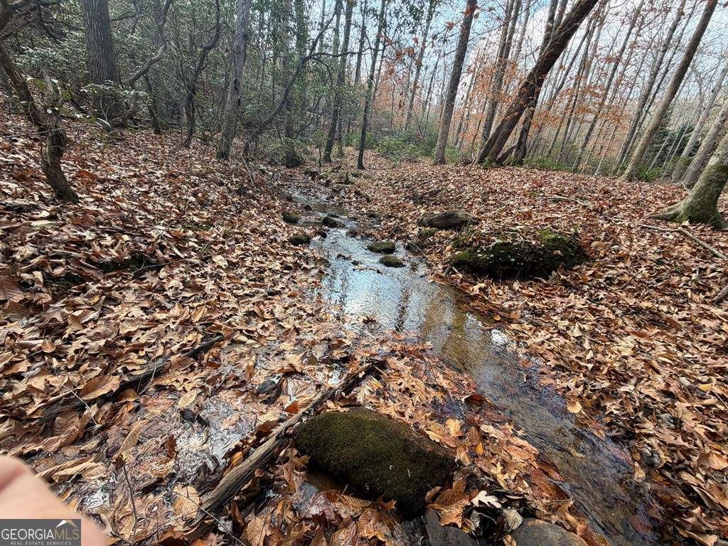 LOT A Magnums Trail Blue Ridge - 35