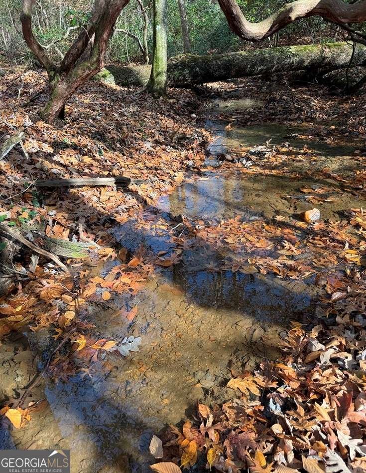 LOT A Magnums Trail Blue Ridge - 37