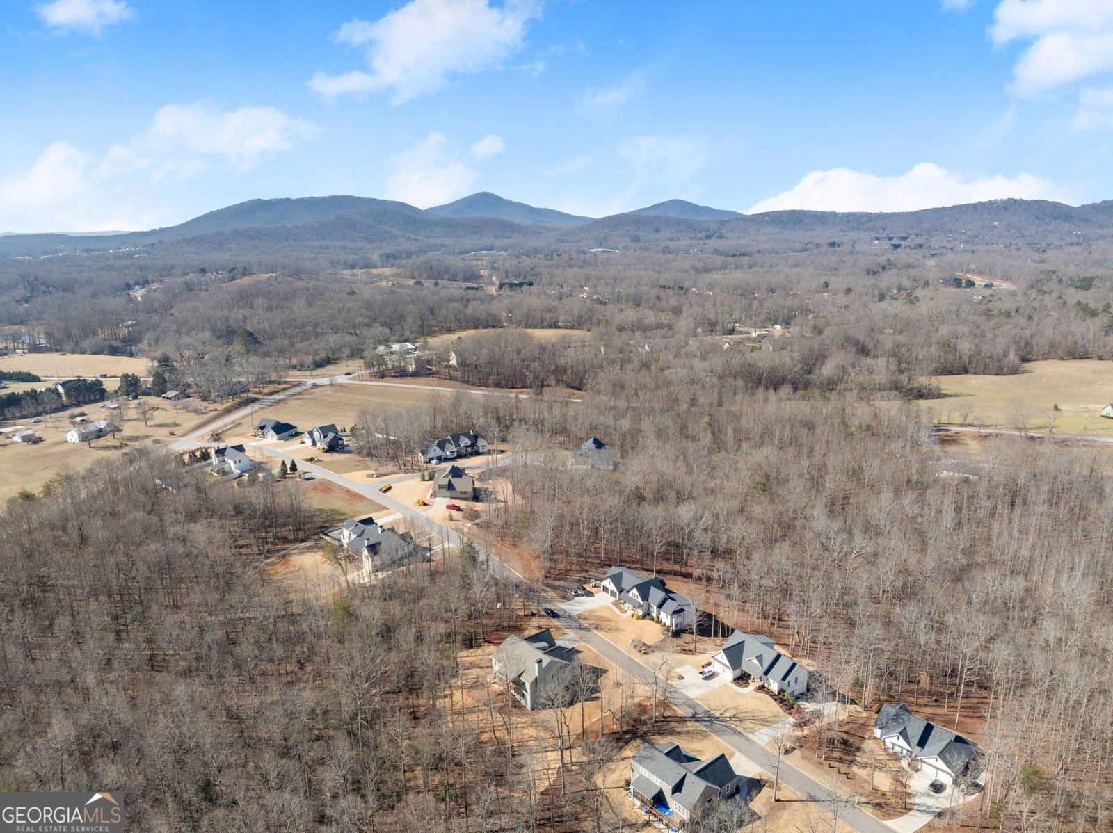 178 Samson Way Cleveland - Photo 48