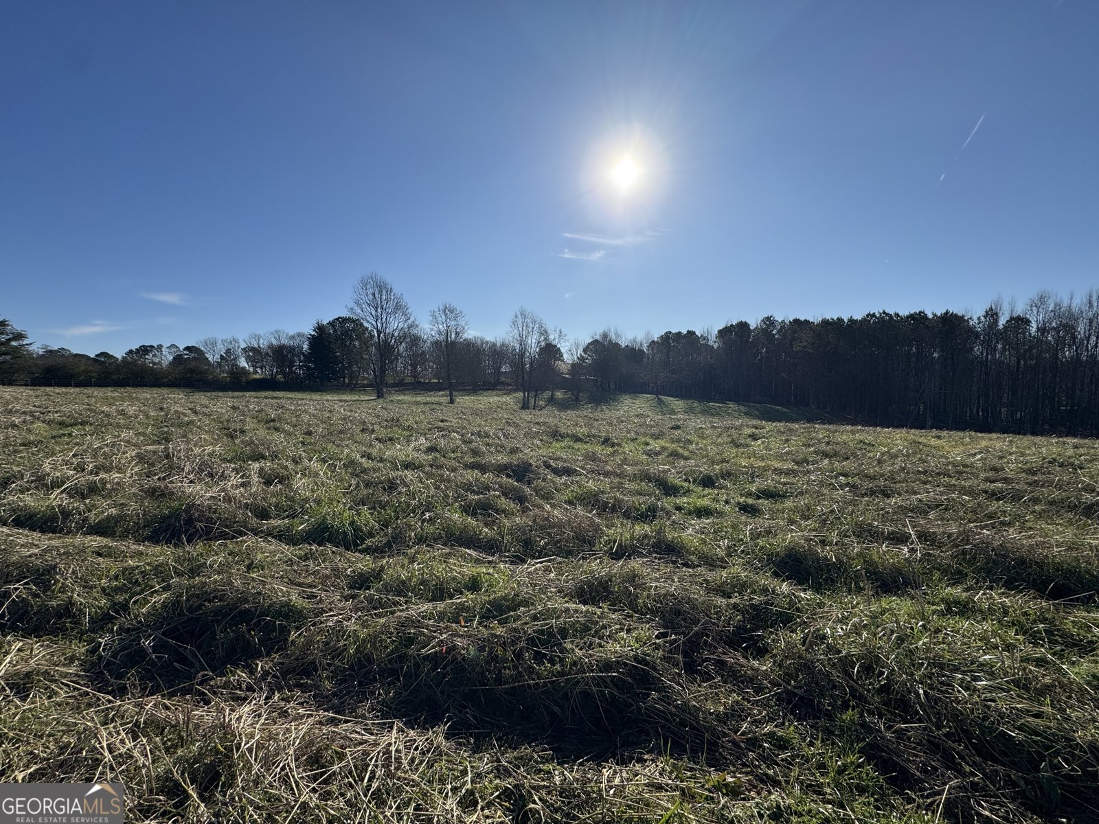 1045 Pleasant Hill Road Jasper - Photo 17