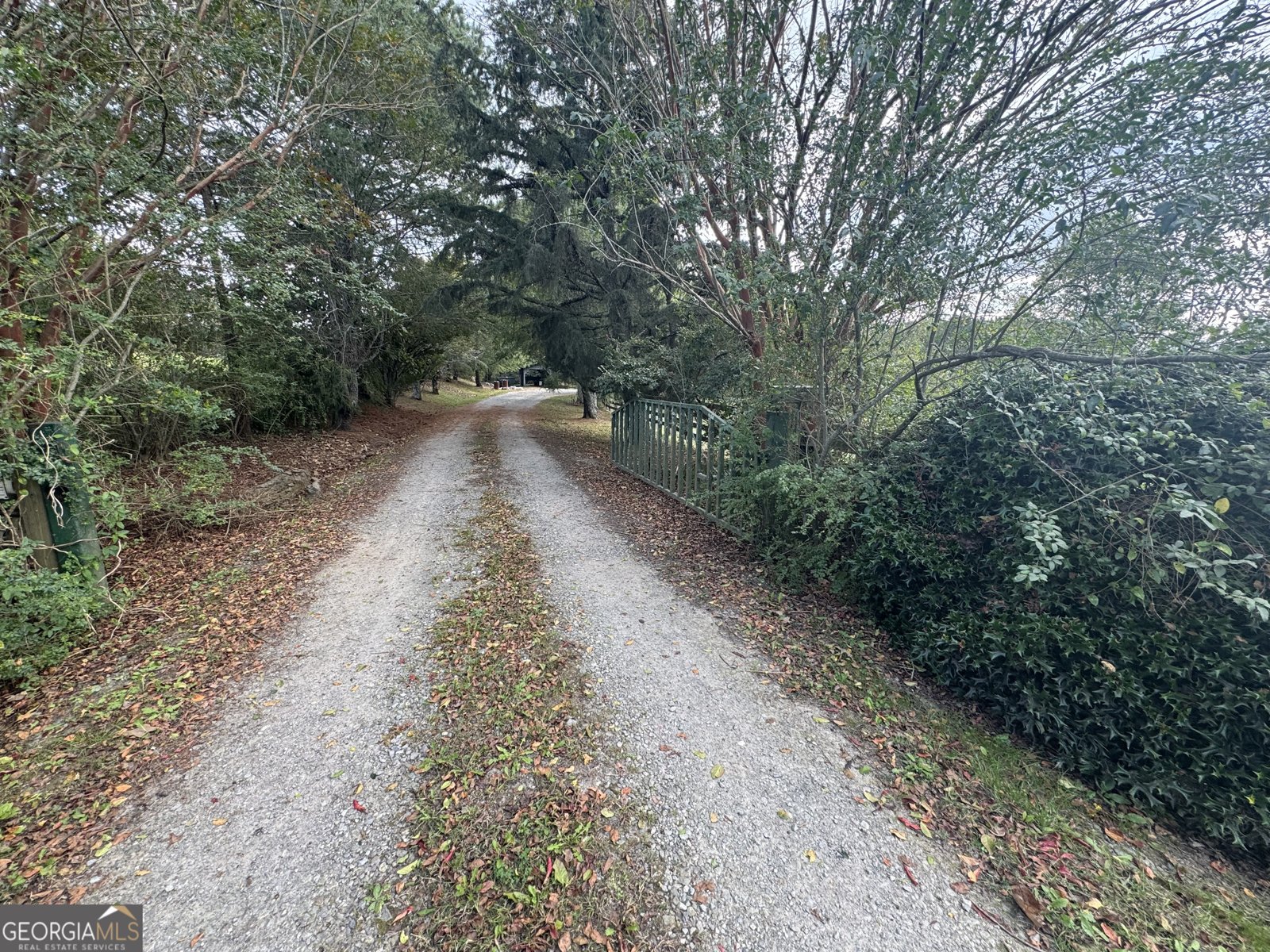 1045 Pleasant Hill Road Jasper - 6