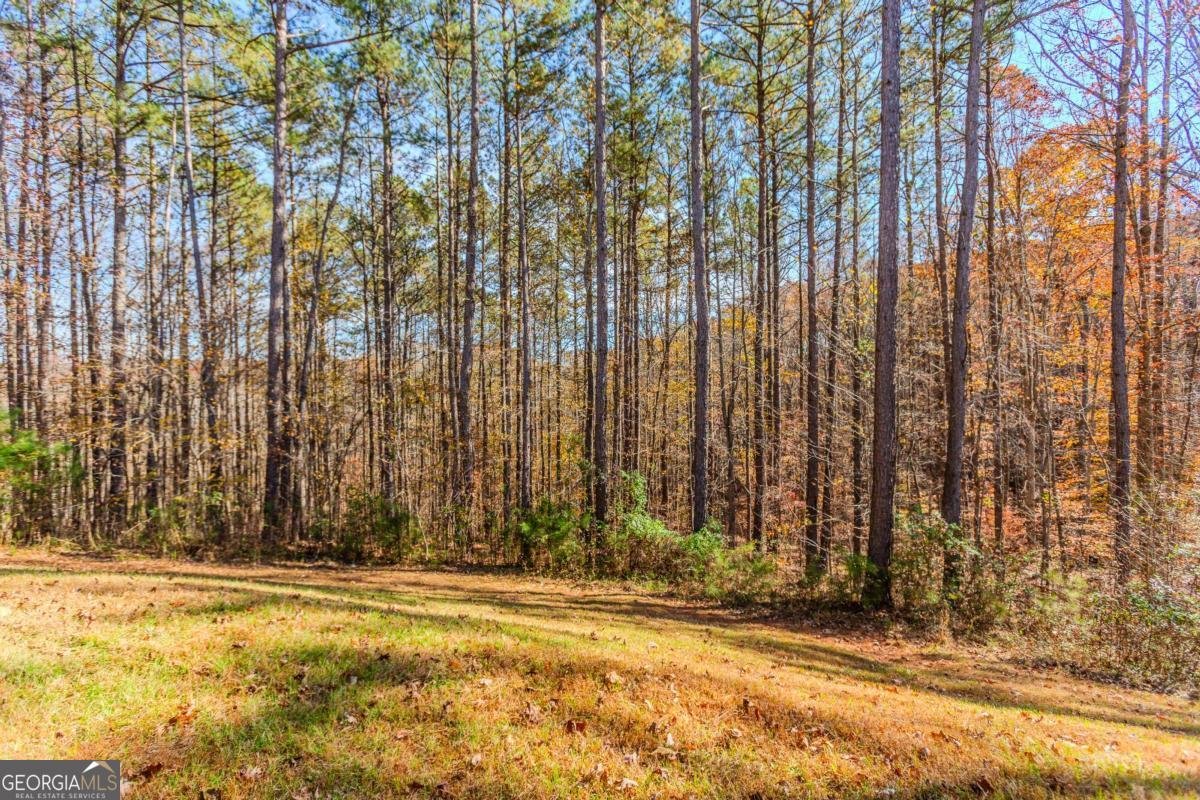 4234 Quail Creek Drive Flowery Branch - 22