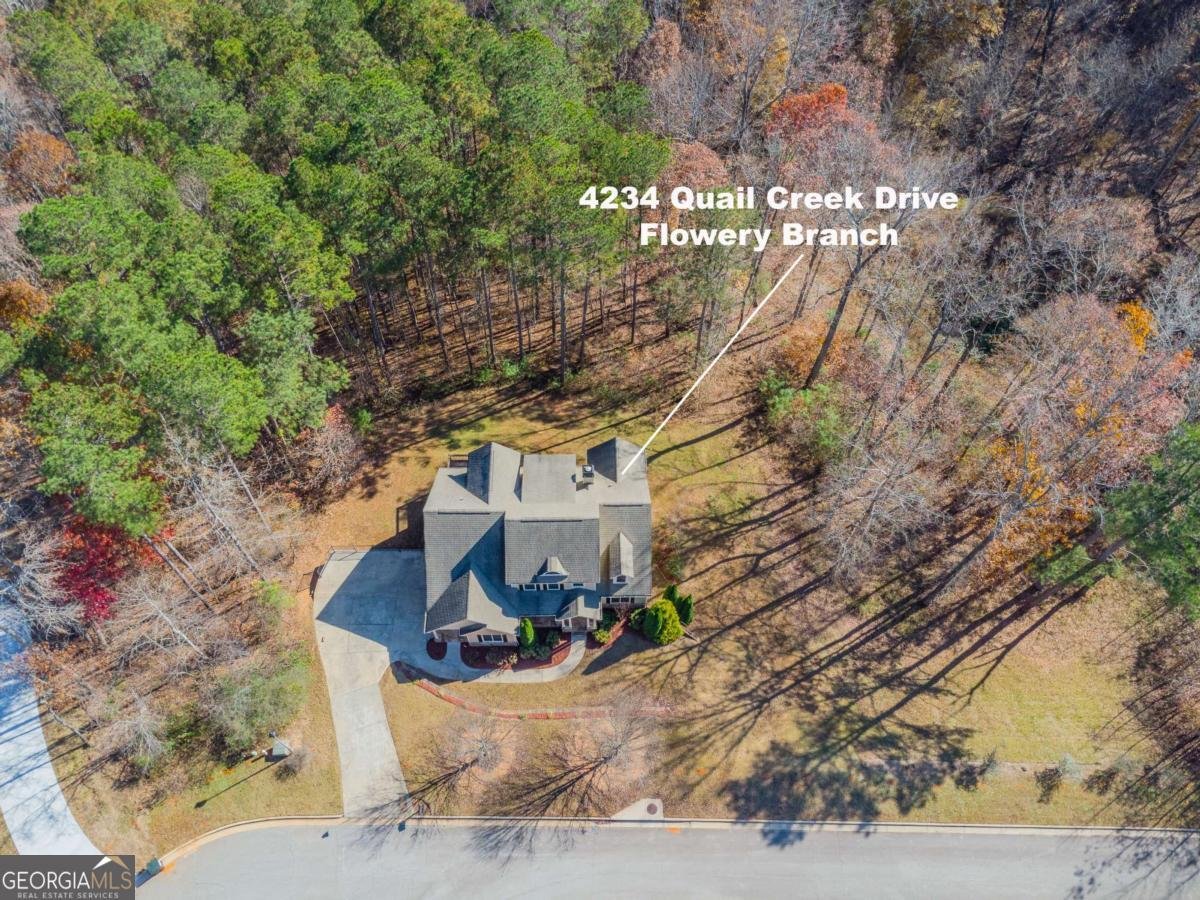 4234 Quail Creek Drive Flowery Branch - 29