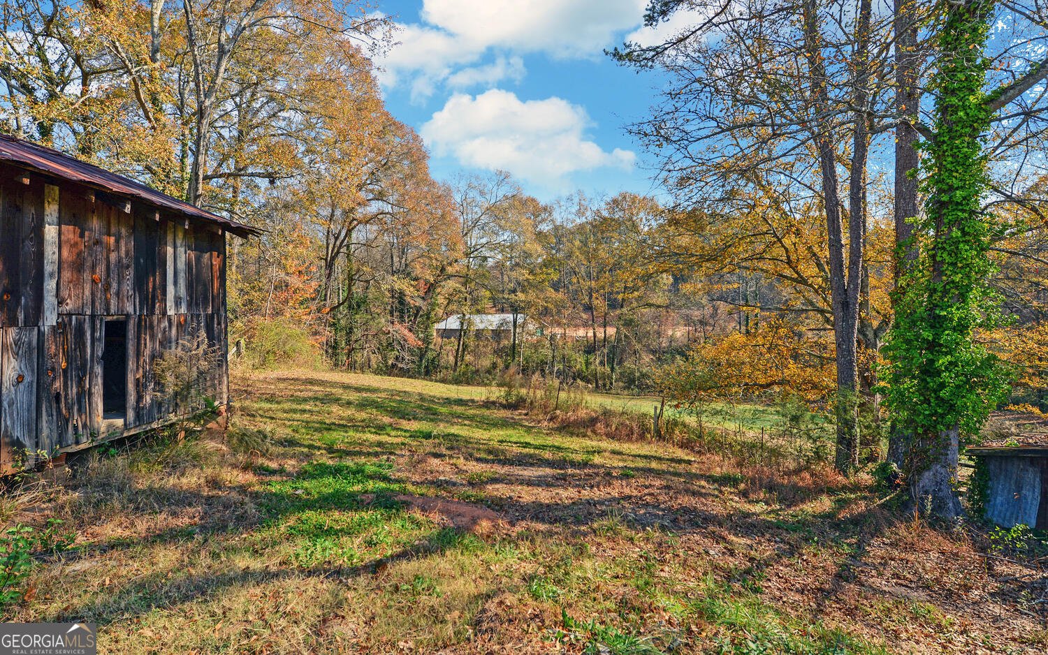 1241 Currahee Street Toccoa - 36