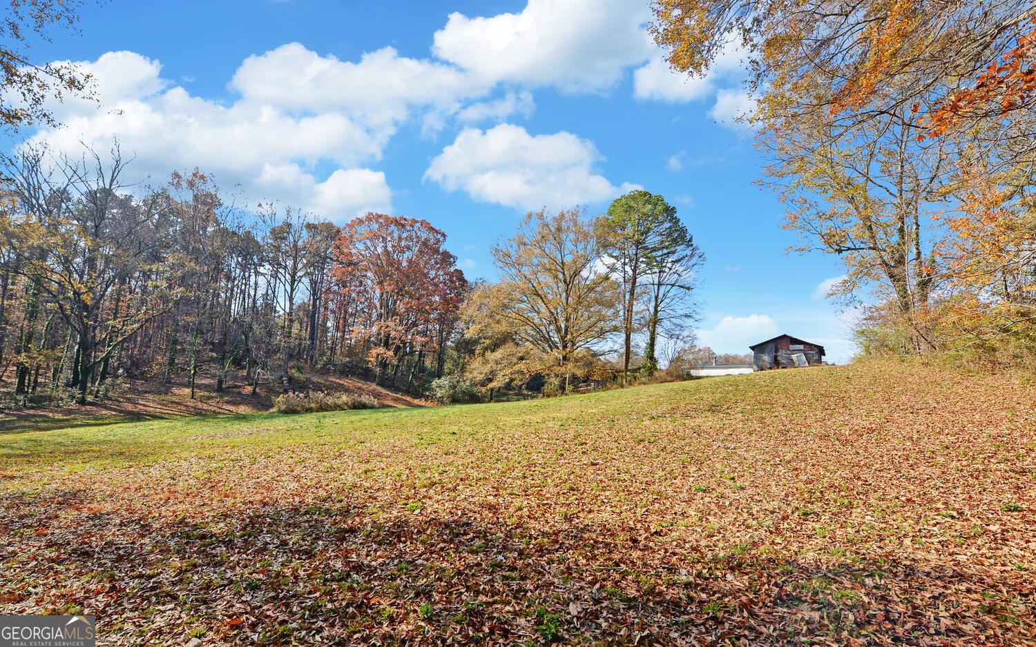 1241 Currahee Street Toccoa - 37